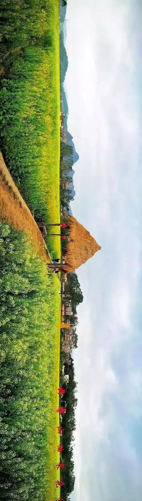 中國經(jīng)濟體制改革基金會全國第一！中國改革熱度第三方評估出爐，云浮宣傳系數(shù)在全國343個城市居首位                             